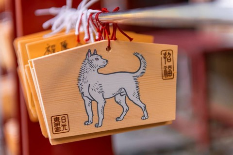 Painted white dog on small wooden boards