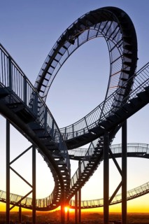 Tiger and Turtle