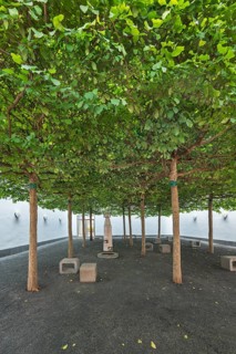 Relaxation room with plane trees