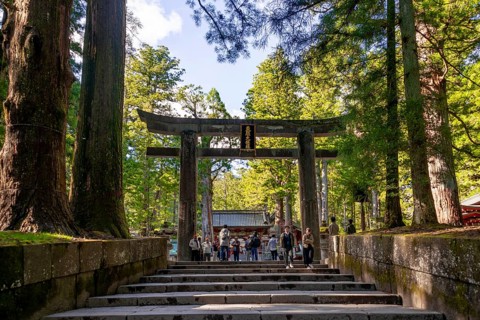 Torii Gate