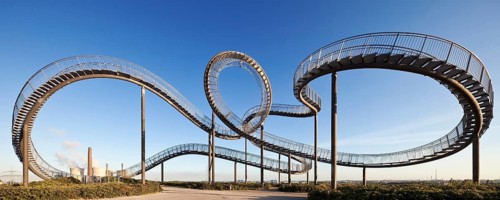 Tiger and Turtle