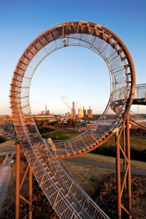 Tiger and Turtle