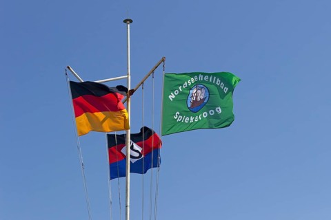 Flags at the harbour