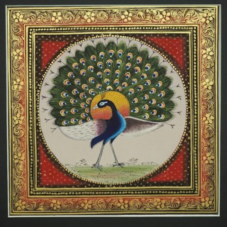 Peacock