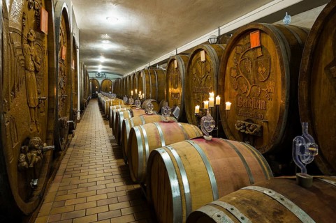 Old wine barrels