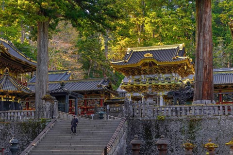 Magnificent Tosho-gu Shrine from the 17th century