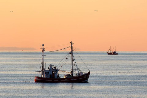 Fishing boat on fishing trip in the evening light