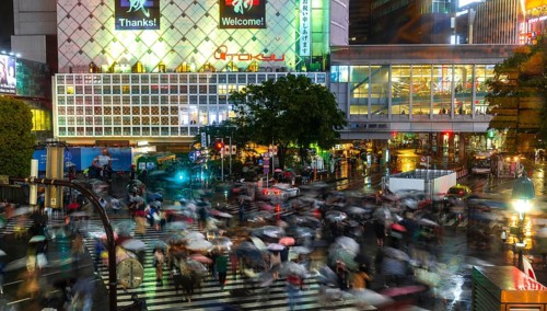 Crowd with umbrellas on zebra crossings at night