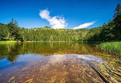 Lake Rachelsee