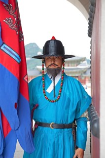 Palace guard at the Royal Palace Gyeongbokgung