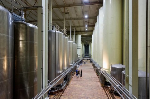 Wine tanks