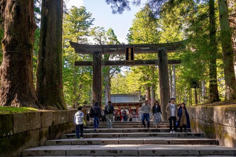 Torii Gate