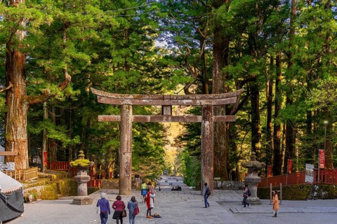 Torii Gate