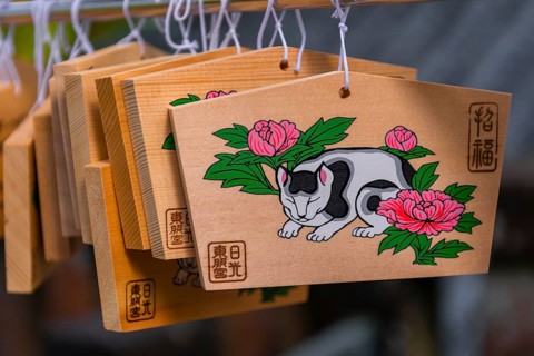 Painted cat on small wooden boards