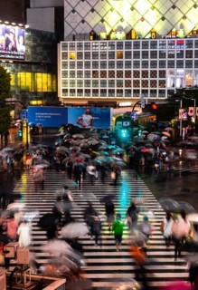 Crowd with umbrellas on zebra crossings at night