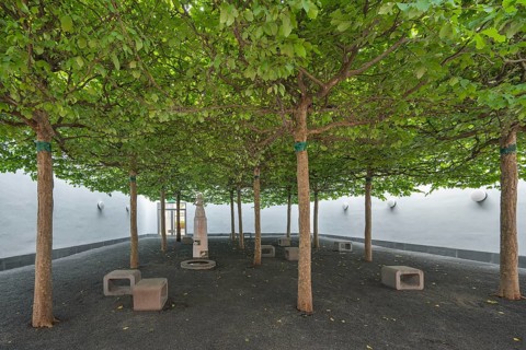 Relaxation room with plane trees