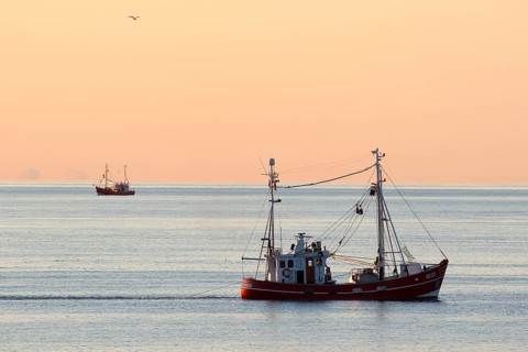 Fishing boat on fishing trip in the evening light