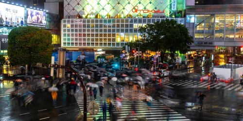 Crowd with umbrellas on zebra crossings at night