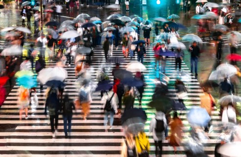 Crowd with umbrellas on zebra crossings at night