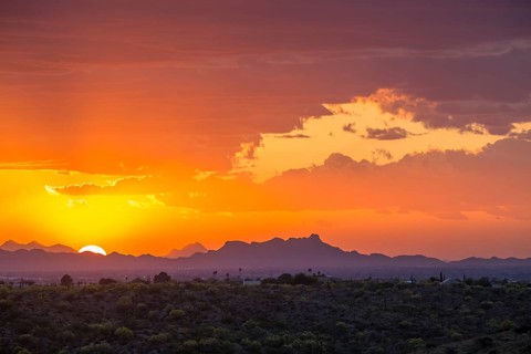 Sonora Desert at sunset