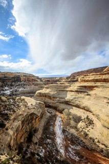 Bick into Deer Canyon near Sipapu Bridge