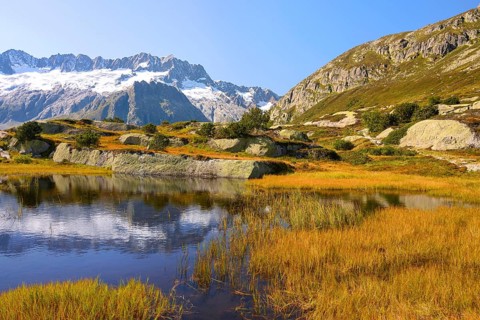 Dammastock and Damma Glacier reflected in swamp lake