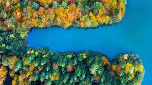 Drone shot