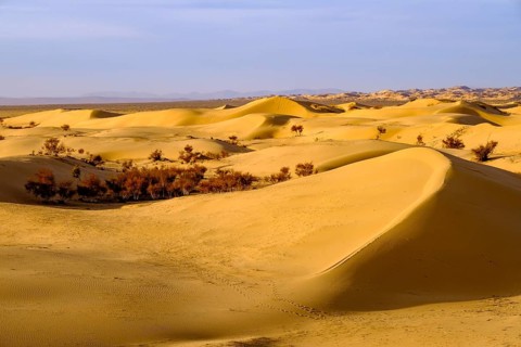 Sand dunes of Elsen Tasarkhai