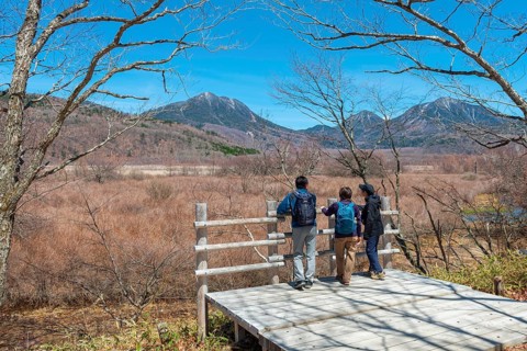 Japanese tourists look into nature