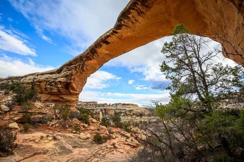 Rock Arch