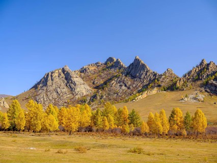 Autumnal colored trees and rocks in Gorky Terelj National Park