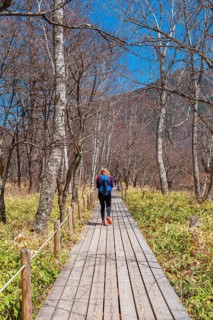 Woman on hiking trail through bamboo