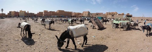 Donkey parking