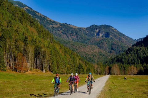 Cyclists