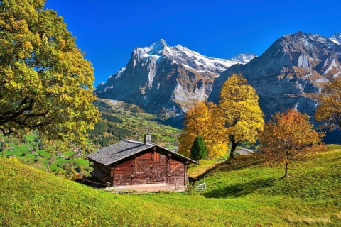 Alpine hut above Grindelwald