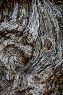 Deadwood
