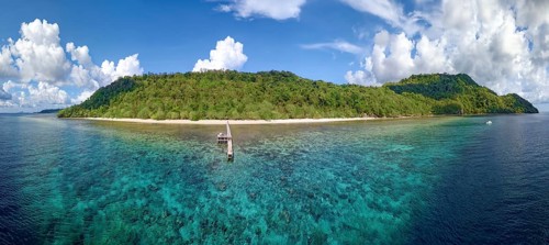 Fringing reef