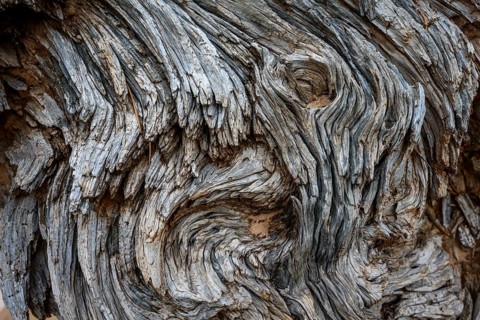 Deadwood
