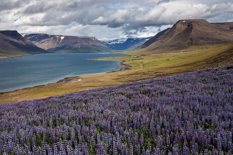 View of fjord landscape