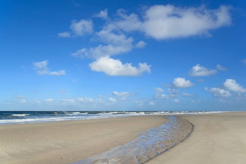 Waves running out at the sandy beach