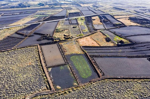 Field landscape with black lava gravel