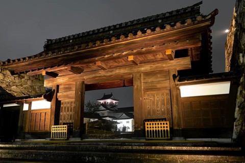 Japanese castle at night