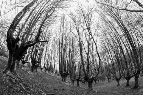 Gorbea Natural Park