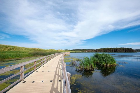 Floating jetty at Lake of shining waters