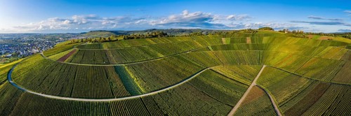 Drone shot
