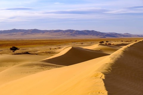 Sand dunes of Elsen Tasarkhai