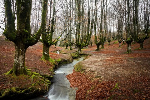 Gorbea Natural Park