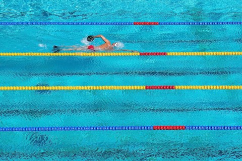 Swimmer training