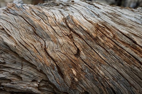 Deadwood