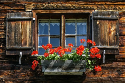 Window with geraniums on an old farmhouse in the historic mountain farming village Gerstruben